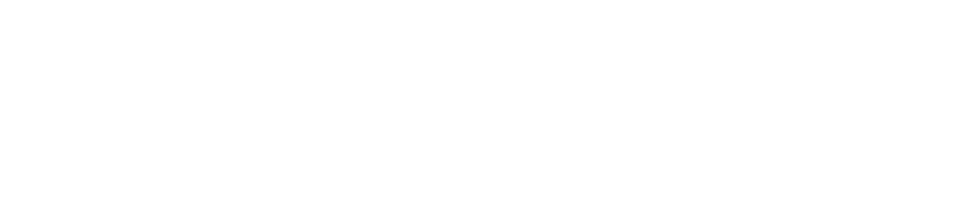 THE LUC